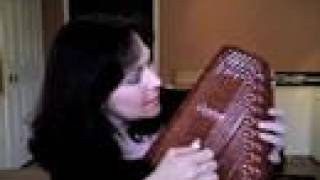 Autoharp Avenue  Chromatic vs Diatonic [upl. by Halyk681]