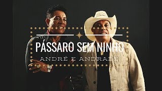 Pássaro sem ninho  André e Andrade  Vídeo Lyrics [upl. by Eirised]