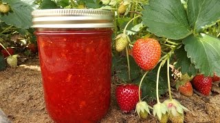 How to Make Strawberry Freezer Jam [upl. by Bechler846]