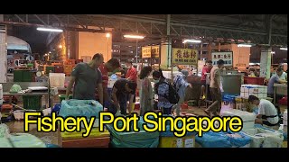 Fishery Port Singapore  Jurong Fishery Port Singapore [upl. by Ttihw563]