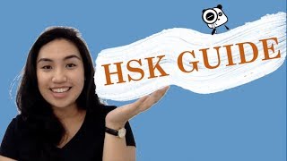 What is HSK  HSK Test Introduction [upl. by Nilram409]