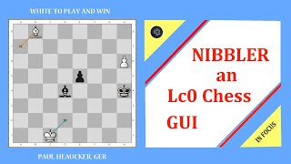 Nibbler an Lc0 chess GUI  Downloading Instaling Testing [upl. by Eima]