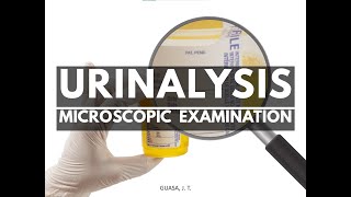 AUBF  Microscopic Examination of Urine [upl. by Nanon228]