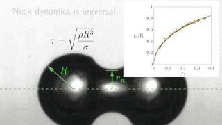 Diffusivelygrowing gas bubble coalescence [upl. by Yellas900]