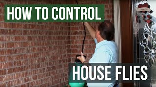 How to Control and Eliminate House Flies [upl. by Elvis760]