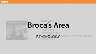 Broca’s Area  Psychology  Chegg Tutors [upl. by Ynnahc]