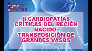 Cáncer de mediastino causas síntomas tratamiento [upl. by Norehs]