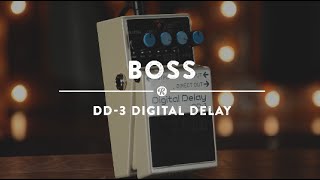 Boss DD3 Digital Delay  Reverb Demo Video [upl. by Kamillah]