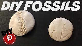 DIY Fossils [upl. by Shulins]