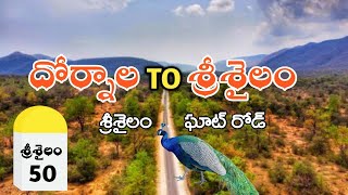 Dornala to Srisailam Ghat Road journey  nallamala forest  srisailam temple  Pasupuleti777 [upl. by Ahsiekrats]