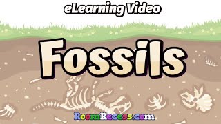 Fossils  eLearning Science Lesson for Kids [upl. by Ybreh]