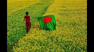 Amar Sonar Bangla Ami Tomai Valobashi Bangladesh National Song [upl. by Welford440]