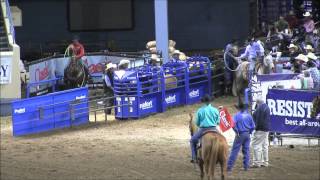 Short Go  Open Prelim  USTRC Finals of Team Roping OK City [upl. by Ahsitra]