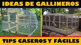 Las Mejores Ideas para hacer Gallineros  Tips Caseros [upl. by Rossuck]