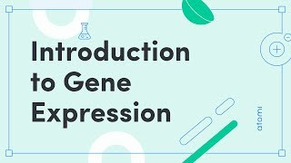 Y1112 Biology Introduction to Gene Expression [upl. by Silda]