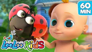 Skip to My Lou  S2EP84 Musical Adventure Collection  LooLoo Kids Songs for Kids [upl. by Charbonnier281]