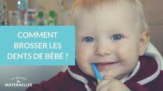 Comment brosser les dents de bébé   La Maison des Maternelles LMDM [upl. by Inger]