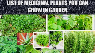 17 Most Powerful Medicinal Plants amp Herbs [upl. by Acireed]