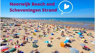 Noordwijk and Scheveningen beach summer of 2020  Netherlands [upl. by Albur]