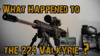 What happened to 224 Valkyrie [upl. by Armin]