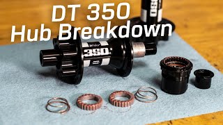 DT 350 Hub Breakdown With Sound  Quick Bits [upl. by Schoenfelder]