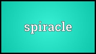 Spiracle Meaning [upl. by Faux]