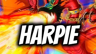 HARPIE DECK RECIPE  COMBOS  YuGiOh TCG [upl. by Suoirtemed884]