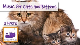 8 HOURS of Relaxing Music for Cats and Kittens [upl. by Mcclure]