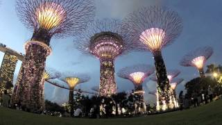 Singapores Gardens by the Bay [upl. by Feodora]