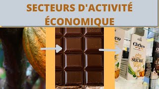 Les secteurs dactivité économique [upl. by Inavoig]