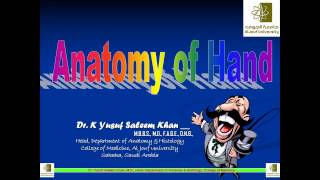 Anatomy of the Hand  Dr Yusuf [upl. by Norod182]