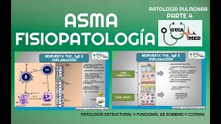 ASMA BRONQUIAL FISIOPATOLOGÍA  GuiaMed [upl. by Yannodrahc]