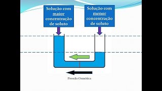 Como funciona a Osmose Reversa  Descrição Básica [upl. by Sabas]