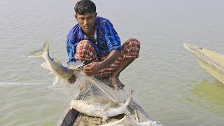 natural fishing in bangladesh  catfish catching [upl. by Joyan382]