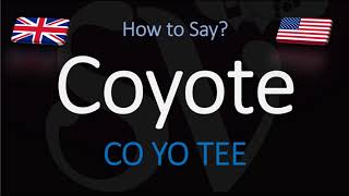 How to Pronounce Coyote  English American Pronunciation [upl. by Aneral54]