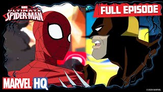 Freaky  Ultimate SpiderMan S1 E10  Full Episode [upl. by Ileak246]