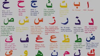 Arabic Alphabet  Pronunciation [upl. by Annoynek117]