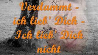 Matthias Reim  Verdammt ich lieb dich lyrics [upl. by Suelo]