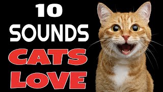 10 Sounds Cats Love To Hear The Most [upl. by Tadashi]