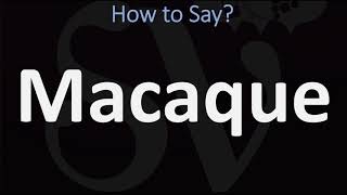 How to Pronounce Macaque CORRECTLY [upl. by Enneles]