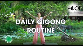 DAILY QIGONG ROUTINE [upl. by Sseb]