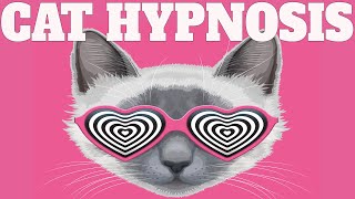 Sound To Calm Cats Within Minutes  Cat Hypnosis [upl. by Vassell866]