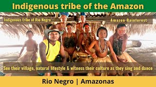 Brazil Travel  Indigenous tribe of the Amazon [upl. by Imef]