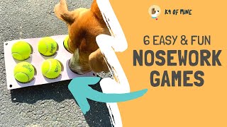 6 Nosework Games for Dogs Easy Simple Scentwork [upl. by Meggie]