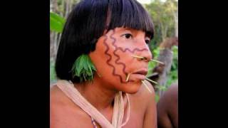 Tribes of the Amazon Rainforest  Yanomami Yekuana and Piaroa [upl. by Margetts]