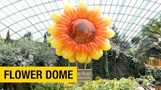 A Tour of Gardens by the Bay in Singapore Part 3 – Flower Dome [upl. by Cort]