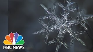 Snowflake Anatomy Breathtaking Microscope Photos  NBC News [upl. by Schweitzer465]