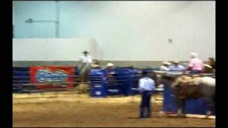 George Strait Team Roping [upl. by Isaiah]