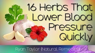 16 Herbs that Lower Blood Pressure Naturally and Quickly [upl. by Reiner]