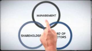 Corp 101 The Basics of Corporate Structure [upl. by Aleil]